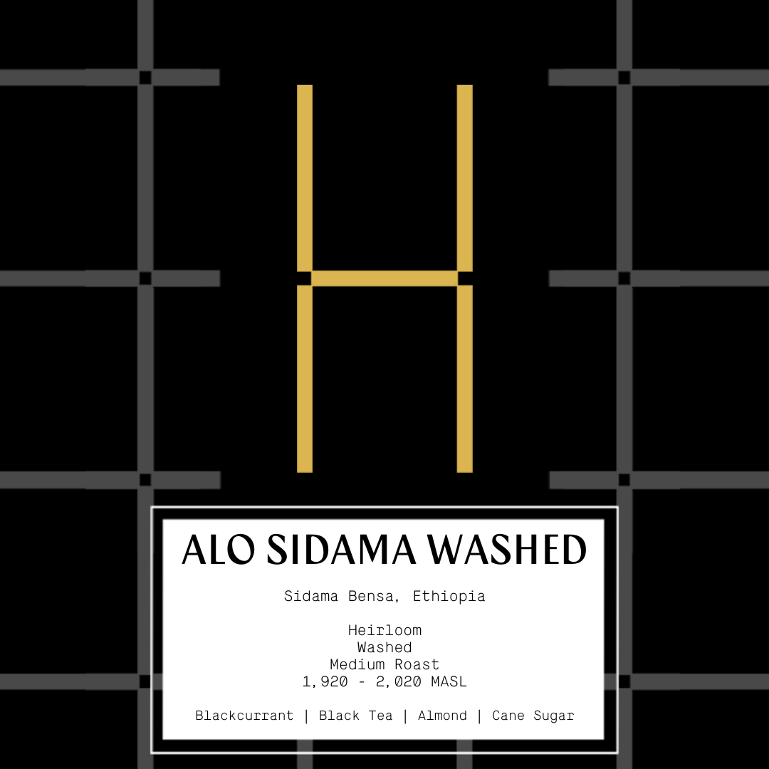 Ethiopia Alo Sidama (Washed)
